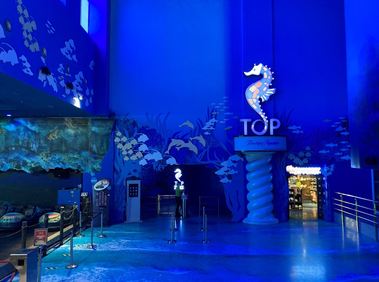 Penang Boutique Aquarium