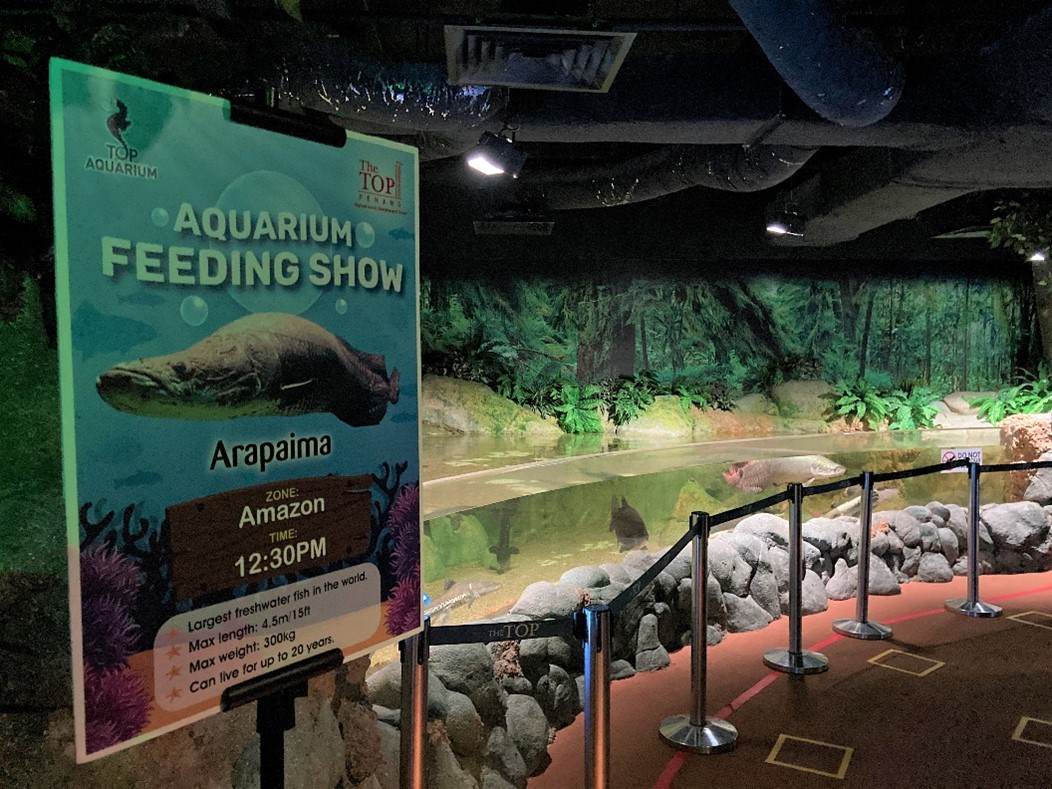 Aquarium Feeding Show