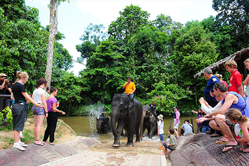 Kuala Gandah Elephant Conservation Centre