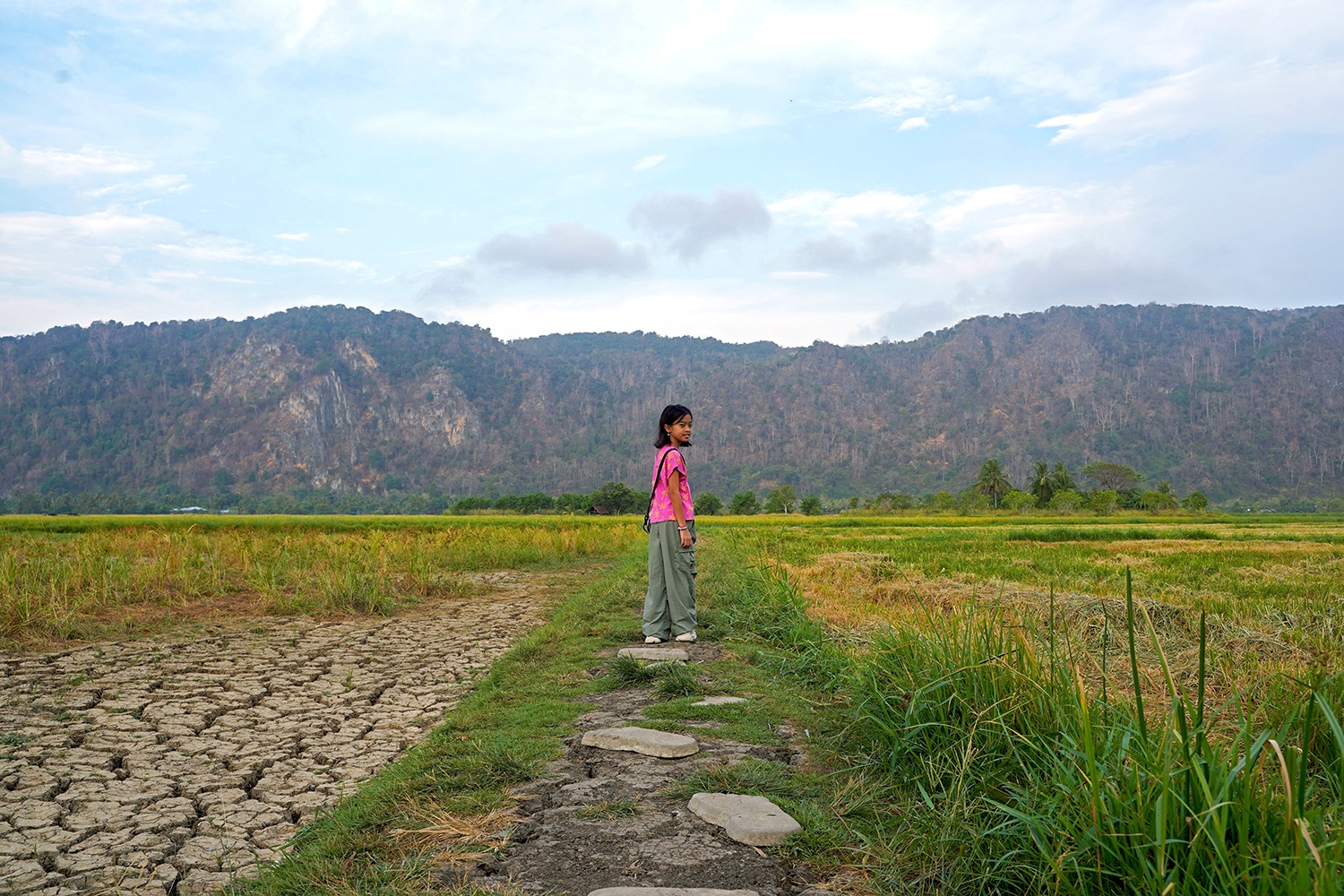Roti telur sarang burung and kuih muih at Warung Tepi Sawah