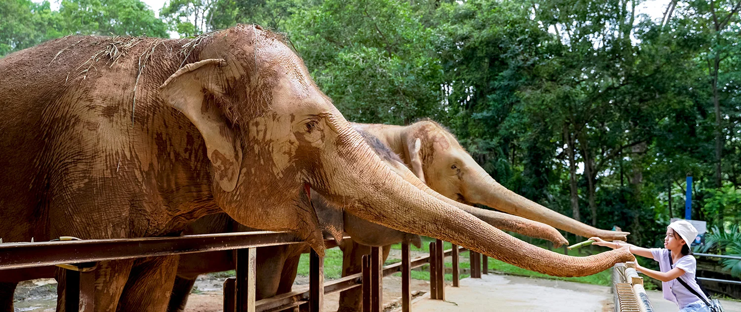 Zoo Melaka family visit