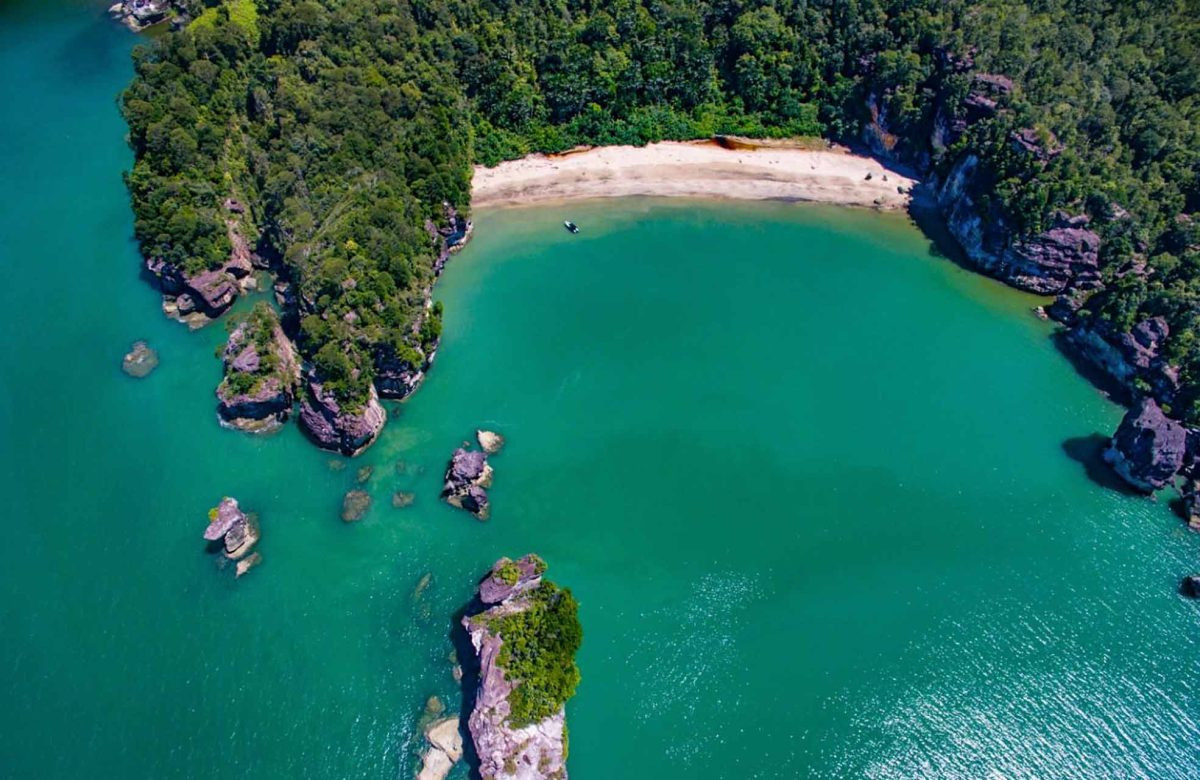Proboscis Monkey at Bako National Park